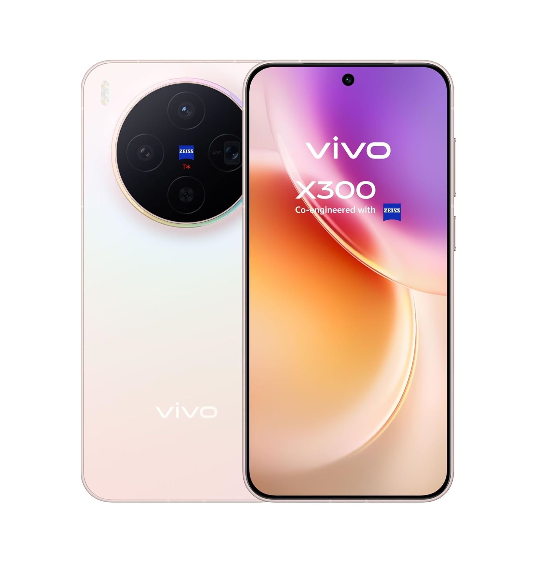 Vivo X300